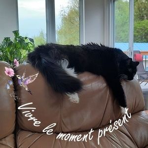 Meet your Posher, André